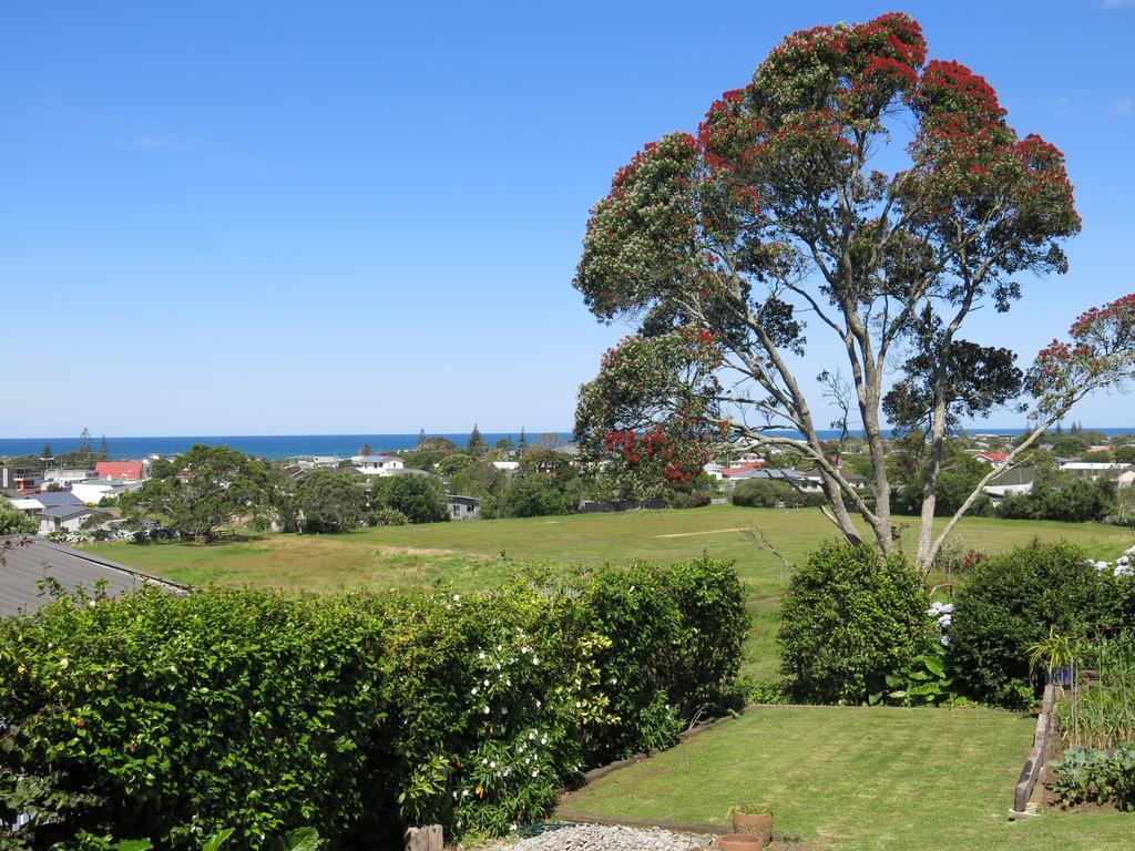 Appartement Atalaya à Waihi Chambre photo